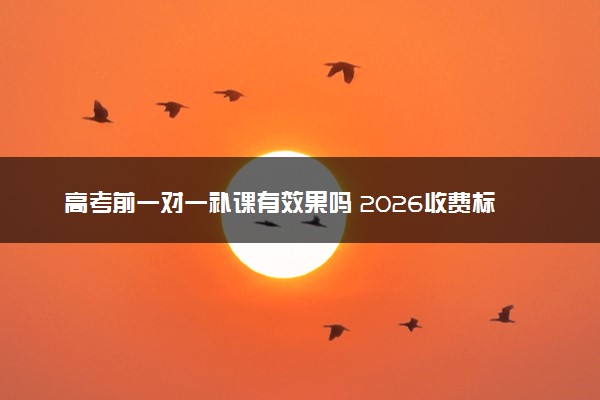 高考前一对一补课有效果吗 2026收费标准