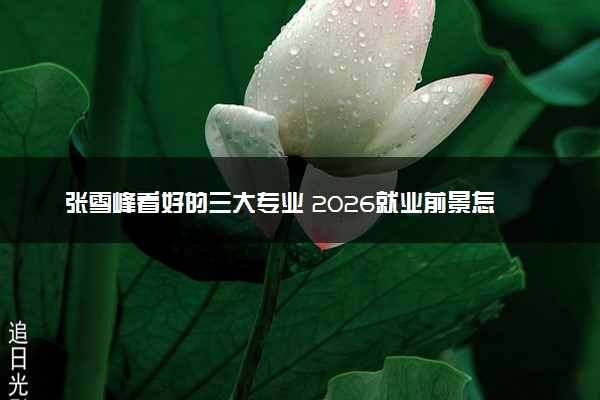 张雪峰看好的三大专业 2026就业前景怎么样
