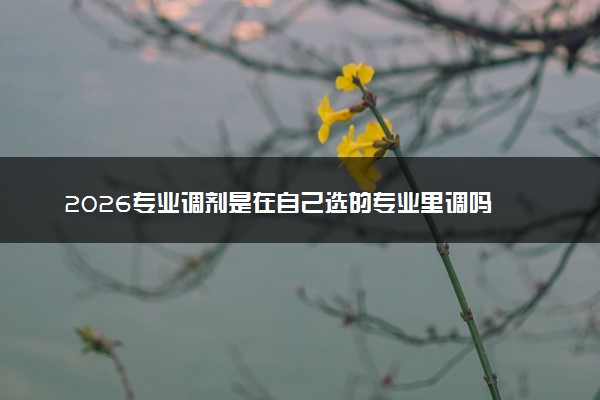 2026专业调剂是在自己选的专业里调吗