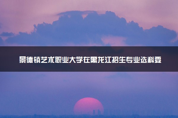 景德镇艺术职业大学在黑龙江招生专业选科要求对照表 新高考各专业需要选考什么科目