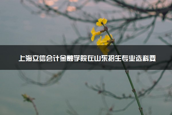 上海立信会计金融学院在山东招生专业选科要求对照表 新高考各专业需要选考什么科目