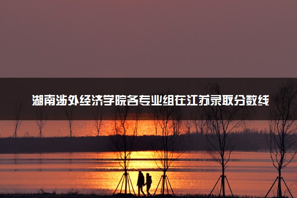 湖南涉外经济学院各专业组在江苏录取分数线  2026江苏考生多少分能上湖南涉外经济学院