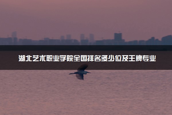 湖北艺术职业学院全国排名多少位及王牌专业有哪些？
