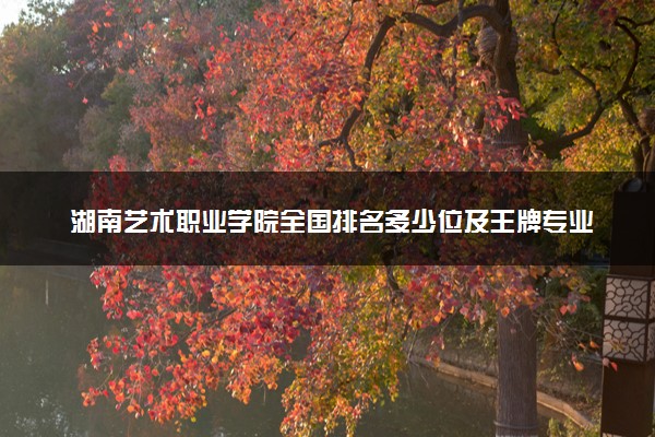 湖南艺术职业学院全国排名多少位及王牌专业有哪些？