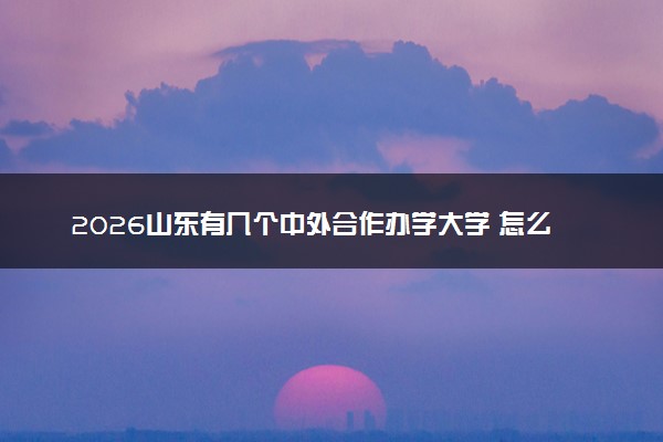 2026山东有几个中外合作办学大学 怎么报名