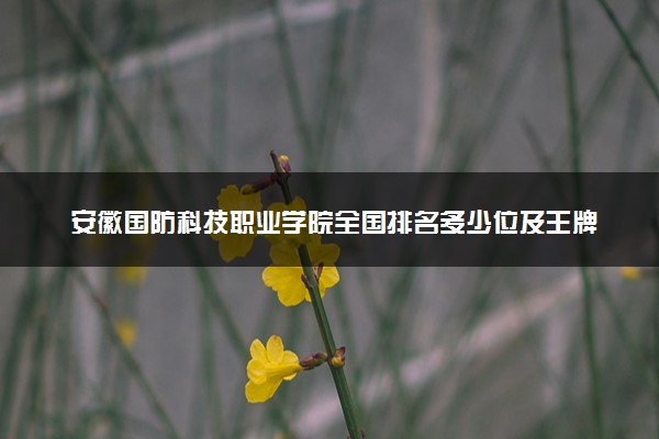 安徽国防科技职业学院全国排名多少位及王牌专业有哪些？