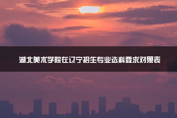 湖北美术学院在辽宁招生专业选科要求对照表 新高考各专业需要选考什么科目