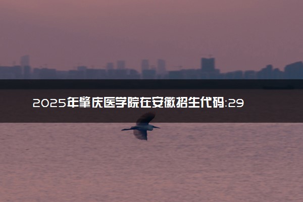 2025年肇庆医学院在安徽招生代码：2904 专业代码及报考指南