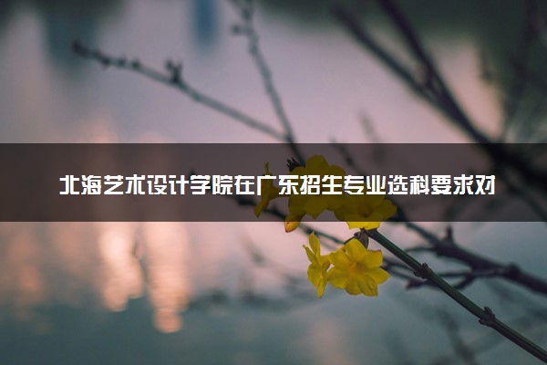 北海艺术设计学院在广东招生专业选科要求对照表 新高考各专业需要选考什么科目