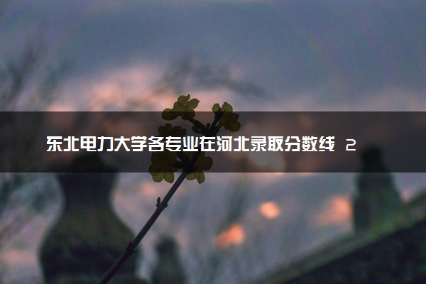 东北电力大学各专业在河北录取分数线  2026河北考生多少分能上东北电力大学