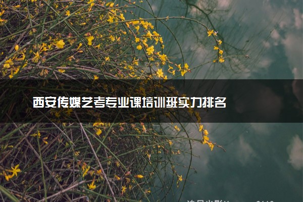 西安传媒艺考专业课培训班实力排名