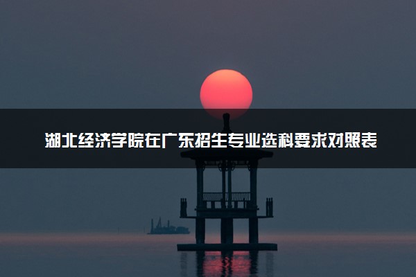 湖北经济学院在广东招生专业选科要求对照表 新高考各专业需要选考什么科目