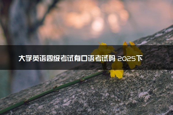 大学英语四级考试有口语考试吗 2025下半年什么时候考试