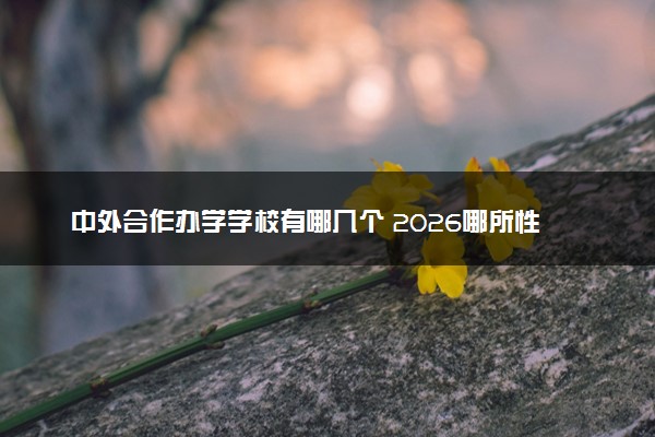 中外合作办学学校有哪几个 2026哪所性价比最高